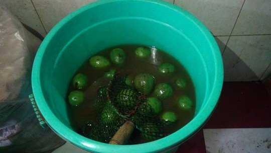 Bơ ngâm hóa chất lừa nhau ăn, quả vải xịn dành bán sang Nhật - 1
Số bơ đang ngâm hóa chất bị bắt quả tang.