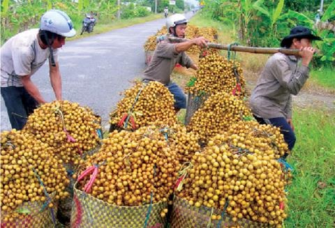 Người Việt phí cơ hội làm giàu với Trung Quốc: Vì đâu? - 1
Việt Nam mất cơ hội làm giàu nhờ Trung Quốc
