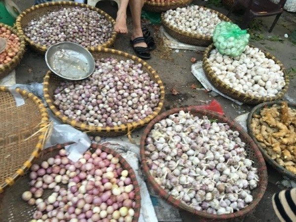 Những cảnh báo đáng sợ từ tỏi Trung Quốc - 1 Những cảnh báo đáng sợ từ tỏi Trung Quốc - 1
