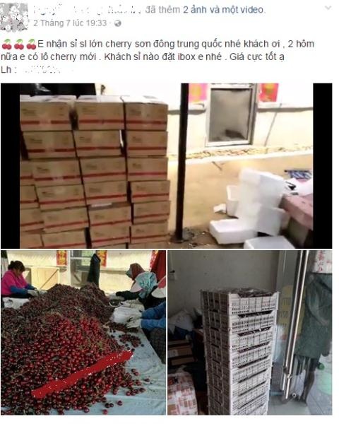 Cherry Trung Quốc giá rẻ bán công khai 120.000 đồng/kg - 1
Cherry trồng tại Sơn Đông-Trung Quốc đẹp mã như cherry ngoài hàng nhập khẩu.