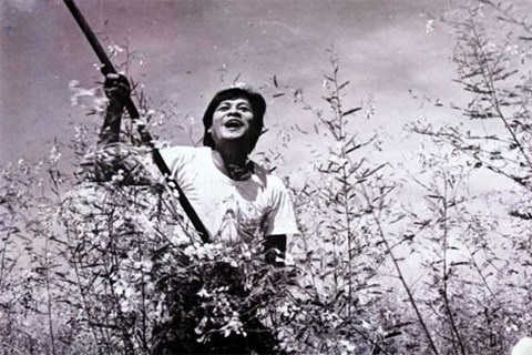 Ảnh NSND Lâm Tới chèo thuyền trên cánh đồng, phim “Cánh đồng hoang”