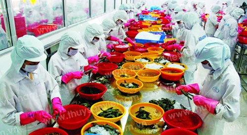 Đại gia Dương Ngọc Minh: Một thời vung ngàn tỷ đồng, nay bán đất trả nợ - 1 Ngành thủy sản gặp nhiều khó khăn.