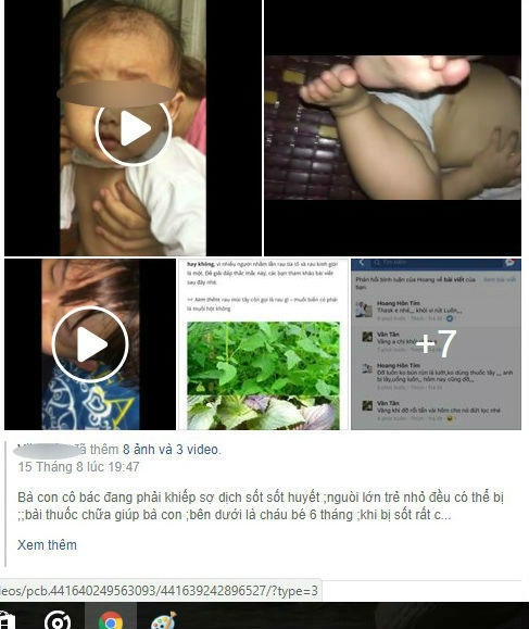 Cẩn trọng với việc chữa sốt xuất huyết bằng uống nước tía tô canh giới sống - 1 Chủ tài khoản facebook bày cách chữa sốt xuất huyết bằng tía tô canh giới. Ảnh internet