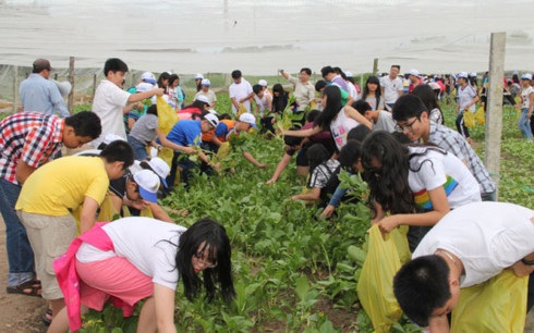 Dạy học từ thực tế - 1 Dạy học từ thực tế - 1