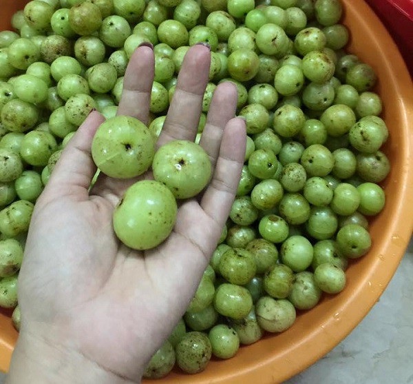 Quả dại Tây Bắc: Chua chát nghẹn cổ, chị em phát cuồng - 1
Mắc kham ướp có vị chua ngọt độc đáo ăn một lần nhớ mãi