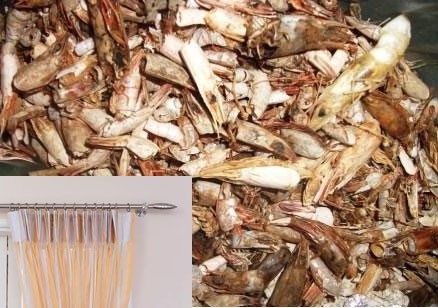 Chiêu trả thù khó ai nghĩ ra của một bà vợ có chồng ngoại tình - 1 Ảnh minh họa