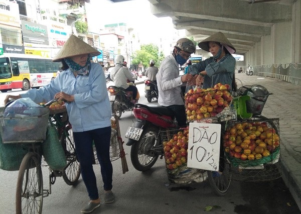 Hà Nội: Có tới 80% trái cây tại các chợ đầu mối không rõ nguồn gốc - 1
Hà Nội quyết dẹp trái cây bán rong, không rõ nguồn gốc. Ảnh CAND