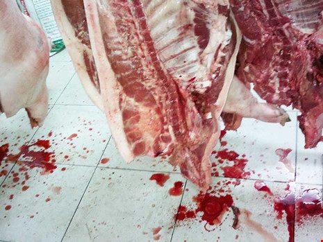 Theo chân heo bơm nước vào TP.HCM - 2 Một vụ heo bơm nước bị bắt quả tang và thịt heo bơm nước đang rỉ dịch khi treo lên. Ảnh: TRẦN NGỌC