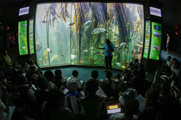 Lá cây nhân tạo dùng ánh sáng mặt trời để tạo ra nhiên liệu hy-đrô - 1 Các nhà nghiên cứu của Hàn Quốc và Đức đã chế tạo được một loại lá cây sản xuất ra nhiên liệu bằng cách bắt chước quá trình quang hợp của các thực vật dưới nước giống như tảo bẹ.
