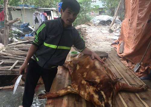 Hối hả bán buôn, làm thêm “kiếm” Tết - 2
Dịch vụ mổ thịt lợn thuê lên ngôi (ảnh chụp tại Nam Từ Liêm, Hà Nội). Ảnh: Gia Tưởng