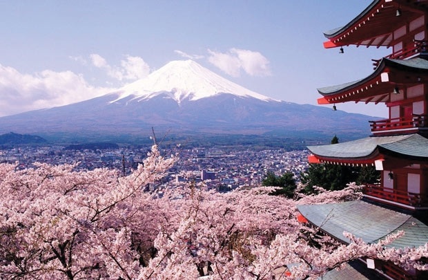 Mẹ ơi, xuân này con lại không về! - 1