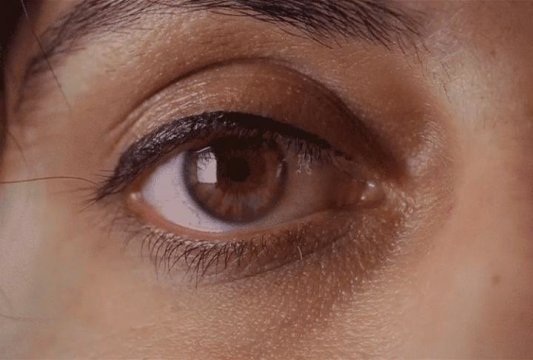 Tại sao đèn không mờ tối đi khi chúng ta chớp mắt? - 1