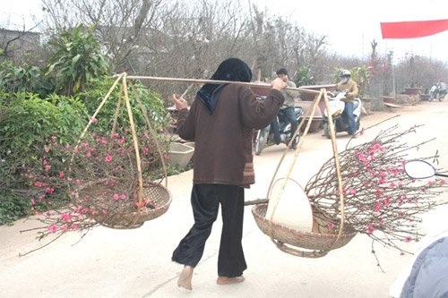 Tôi đi tìm lại mùa Xuân - 2 Tôi đi tìm lại mùa Xuân - 2