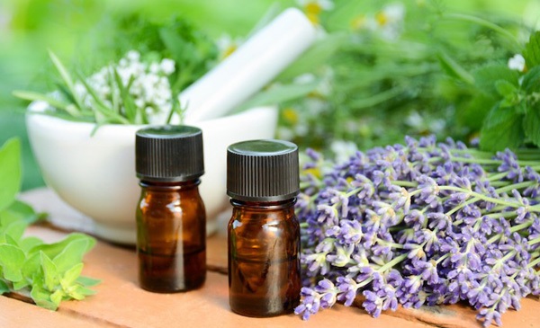 Mẹo đơn giản đuổi sạch muỗi không cần thuốc xịt - 2 Mẹo đơn giản đuổi sạch muỗi không cần thuốc xịt - 2