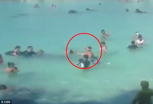 Du khách Nga đối diện án phạt tù vì cho cá ăn ở Thái Lan - 1