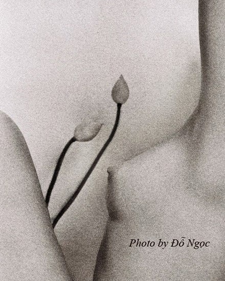 Thật giả ảnh nuy - 2
Một tác phẩm của Đỗ Ngọc.