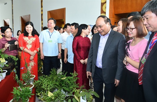 Bàn cách phát triển dược liệu Việt Nam quy mô toàn quốc - 2 Hiện nay, số lượng loài cây dược liệu có khả năng khai thác tự nhiên còn rất ít, nhiều loài cây dược liệu quý hiếm trong nước đang đứng trước nguy cơ cạn kiệt.