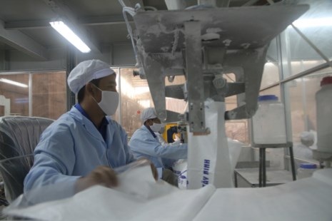 
Đường Việt Nam lao đao vì bị đường lạ Trung Quốc tấn công- Trong ảnh: Chế biến, đóng gói đường tại một doanh nghiệp - Quang Huy
