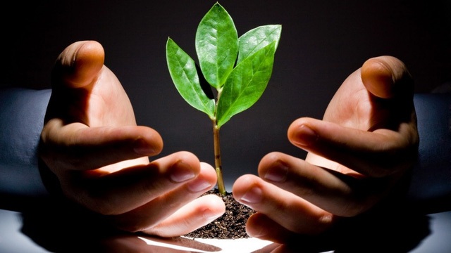 6 kiểu người dễ bị đào thải trong thế kỷ 21 - 2 Hãy đầu tư cho hiện tại để hưởng thành quả tương lai