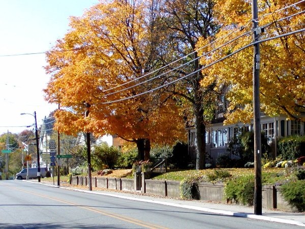 Khám phá sân golf yêu thích của tổng thống Donald Trump - 1 Khám phá sân golf yêu thích của tổng thống Donald Trump - 1