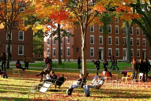 ĐH Harvard bị tố “kì thị sắc tộc” khi tuyển đa số SV da màu và thiểu số - 1
Harvard bị tố là “kì thị” khi tuyển đa số sinh viên không phải người da trắng trong năm 2016 và 2017.