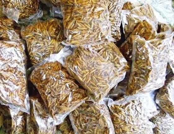 Mua mẻ tằm tươi sống lúc nhúc về ăn: Đại bổ như sâm - 2
Loại tằm khô đã được sơ chế