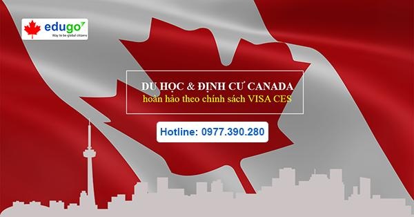 Du học Canada chọn cao đẳng hay đại học khi CES tiếp tục gia hạn - 1 Du học Canada chọn cao đẳng hay đại học khi CES tiếp tục gia hạn - 1
