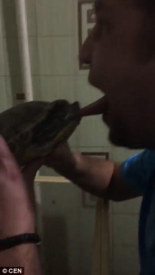 Chụp ảnh tự sướng hôn rùa, suýt bị rùa cắn đứt lưỡi - 1 Trêu rùa, bị rùa cắn lưỡi