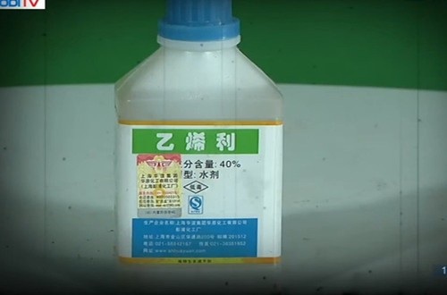 Công nghệ khiến hoa quả nhập từ Trung Quốc về Việt Nam hạt mốc xanh nhưng vỏ vẫn tươi - 2 Công nghệ khiến hoa quả nhập từ Trung Quốc về Việt Nam hạt mốc xanh nhưng vỏ vẫn tươi - 2