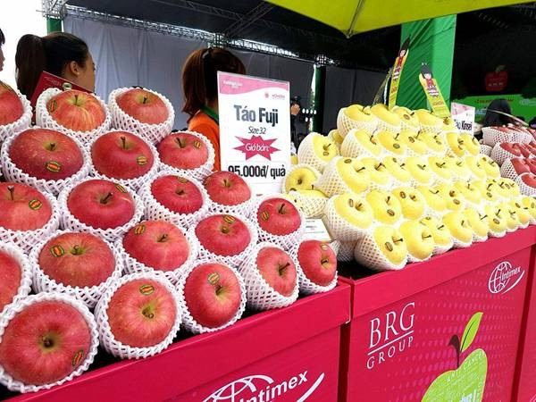 Táo sạch từ Nhật Bản chính vụ 2018 đã có mặt tại Việt Nam - 1