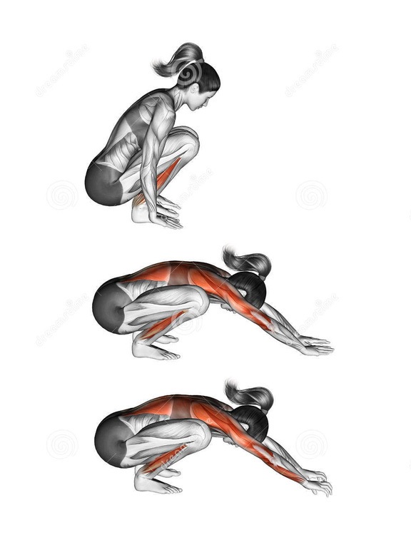 Động tác yoga tác động tới các cơ như thế nào? - 8 Động tác yoga tác động tới các cơ như thế nào? - 8