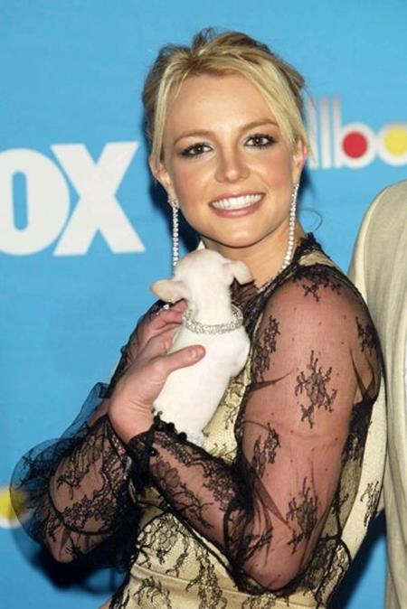 Nhìn lại hành trình “lột xác” ấn tượng của Britney Spears - 10 Sau khi lấy chồng, Britney Spears lại ghi điểm với gu thời trang thanh lịch