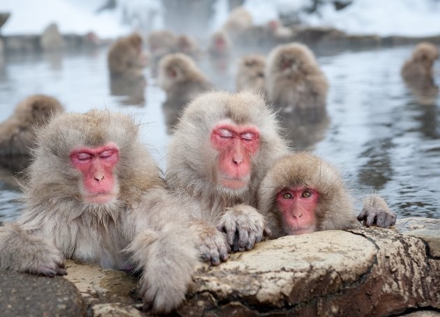 Không cần ngắm hoa anh đào, Nhật Bản vẫn còn rất nhiều nơi hấp dẫn để đi - 10