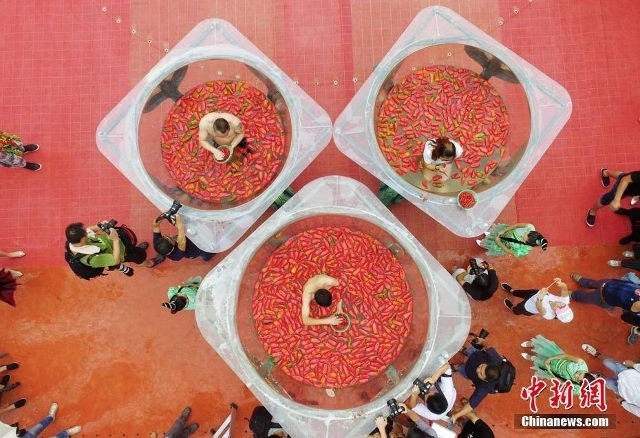 Cay xé lưỡi với cuộc thi ăn ớt kỳ quặc ở Trung Quốc - 11
Các thí sinh trong hành trình chinh phục những trái ớt.