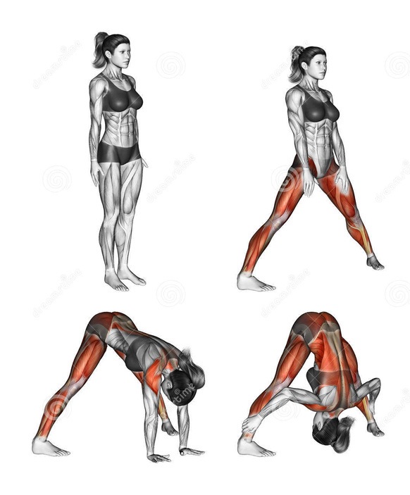 Động tác yoga tác động tới các cơ như thế nào? - 3 Động tác yoga tác động tới các cơ như thế nào? - 3
