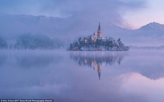 Chiêm ngưỡng những bức ảnh đạt giải nhiếp ảnh thế giới - 11 Chiêm ngưỡng những bức ảnh đạt giải nhiếp ảnh thế giới - 11