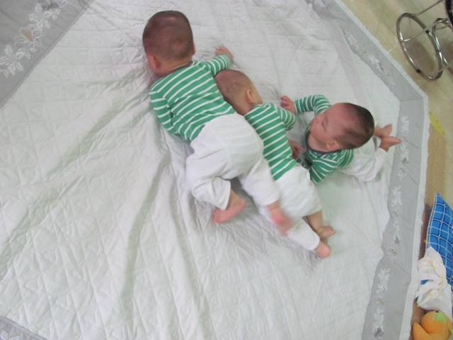Những hình ảnh mới về 3 bé sinh cùng trứng hiếm gặp 200 triệu ca mới có 1 trên thế giới - 12 Những hình ảnh mới về 3 bé sinh cùng trứng hiếm gặp 200 triệu ca mới có 1 trên thế giới - 12