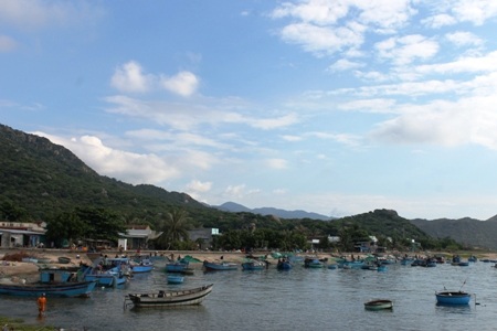 Gặp đàn cá cơm dày đặc, ngư dân Ninh Thuận hốt bạc triệu - 4 Hàng chục chiếc ghe đang vào bờ xuất bán cá cơm cho các vựa thu mua. Ảnh:C.T