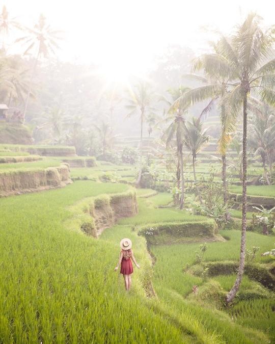 Tại sao các hot blogger du lịch đều chụp ảnh tại cùng một địa điểm? - 11 Tại sao các hot blogger du lịch đều chụp ảnh tại cùng một địa điểm? - 11