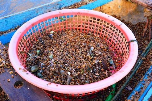 “Chồng cào, vợ đãi”... kiếm nửa triệu dưới đáy sông - 4 “Chồng cào, vợ đãi”... kiếm nửa triệu dưới đáy sông - 4