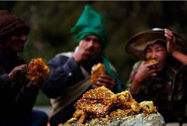 Treo mình giữa vực sâu để tìm loại mật ong "đắt hơn vàng" - 4 Thợ lấy mật hạnh phúc thưởng thức thành quả giá 127 triệu đồng/kg