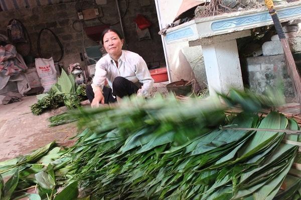 Chỉ "nhặt" lá tre cũng có tiền tỷ - 4 Lá tre sau khi thu hái sẽ được xử lý, làm khô và được xuất khẩu sang Đài Loan dùng gói bánh cổ truyền.