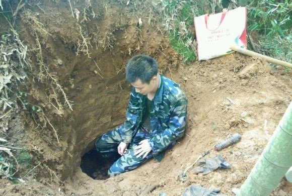 Đào ổ kiến để tìm giống nấm quý hiếm, giá 68 triệu/kg - 3 Chúng thường mọc trong tổ kiến trắng bỏ hoang, ở vị trí khá sâu dưới lòng đất