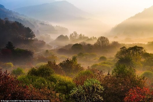 Chiêm ngưỡng những bức ảnh đạt giải nhiếp ảnh thế giới - 12 Chiêm ngưỡng những bức ảnh đạt giải nhiếp ảnh thế giới - 12