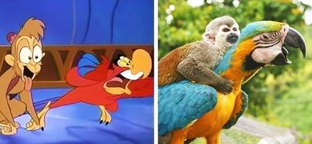 Khỉ và vẹt trong “Aladdin” sẽ hợp tác rất tốt trong thế giới động vật