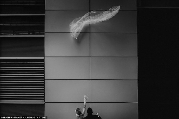 Cô dâu và chú rể cố gắng bắt tấm voan bị gió cuốn bay lên cao