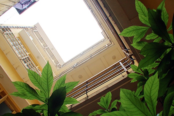 Thăm ngôi nhà Bác Hồ viết bản tuyên ngôn độc lập - 14