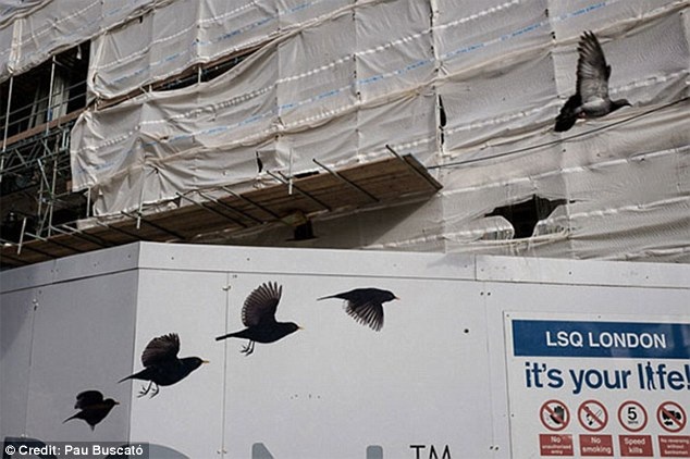 Những bức ảnh trùng hợp tình cờ đầy thú vị - 14