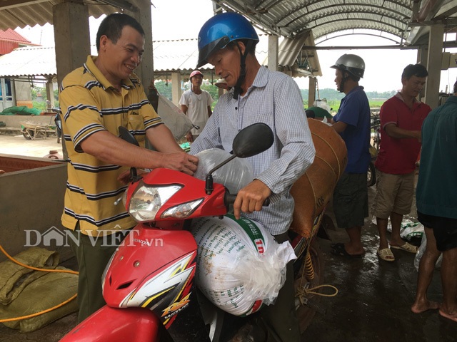 “Gia Cát Lượng” ở Bắc Giang 24 năm làm nghề ương cá giống - 5 Quang cảnh thu mua cá giống tại trang trại của gia đình ông Lượng. Hiện ông đang tạo công ăn việc làm ổn định cho hơn 10 nhân công trong thôn. Ảnh: Nguyễn Hoàn.
