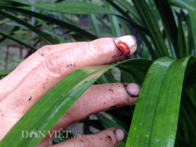 hình ảnh 5 kho cong trong hoa